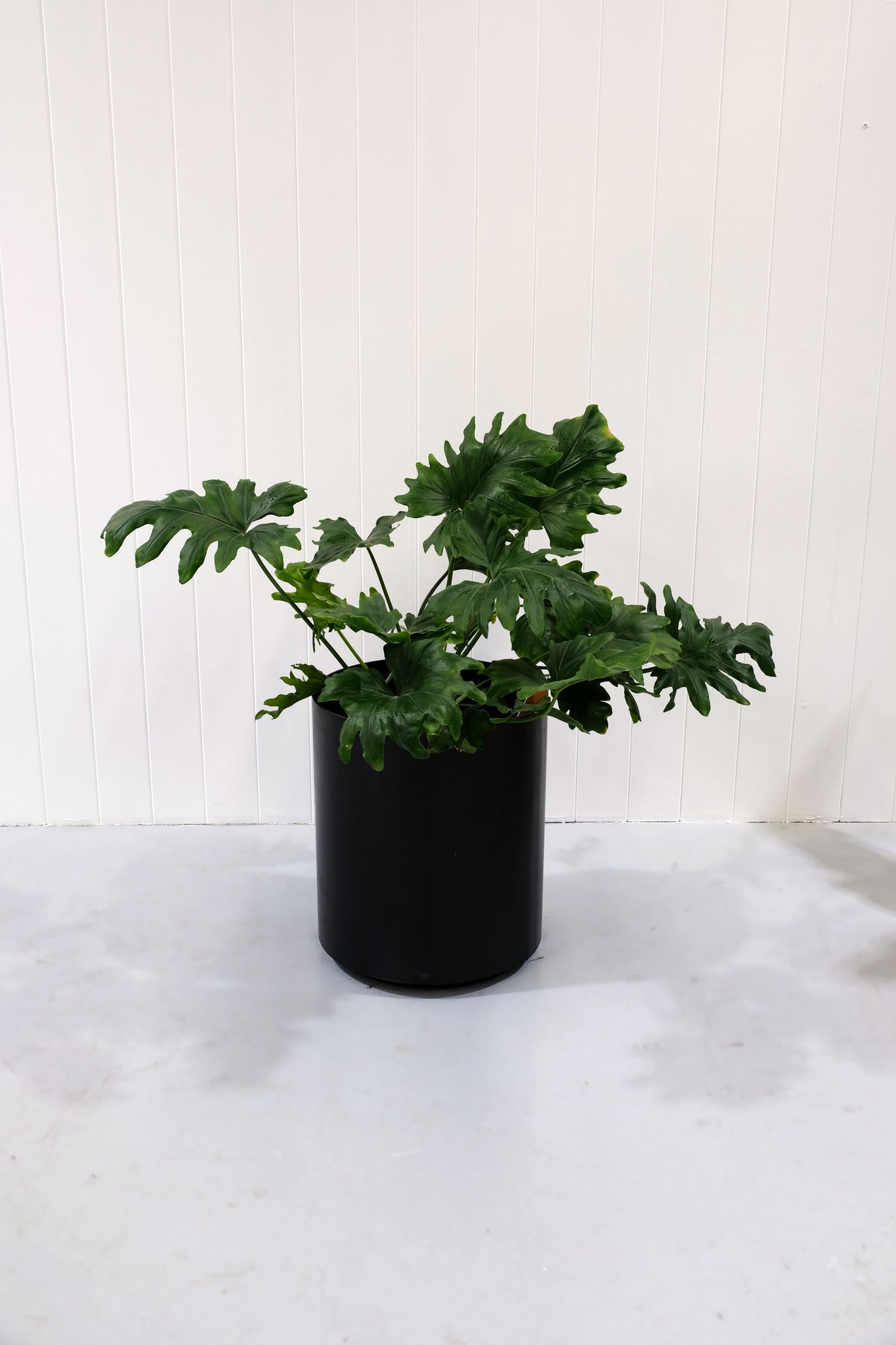 PROX-POTS | Blackened steel pots