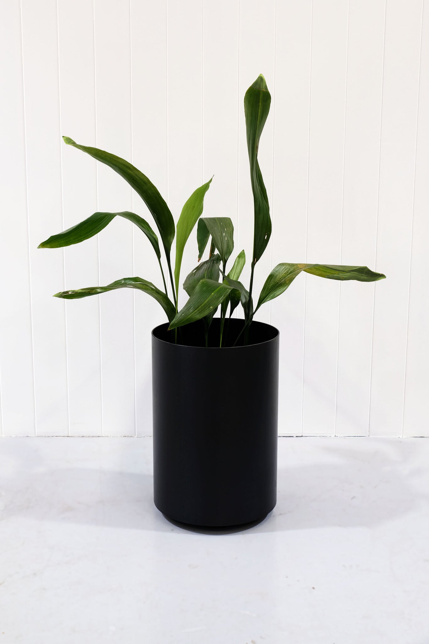 PROX-POTS | Blackened steel pots
