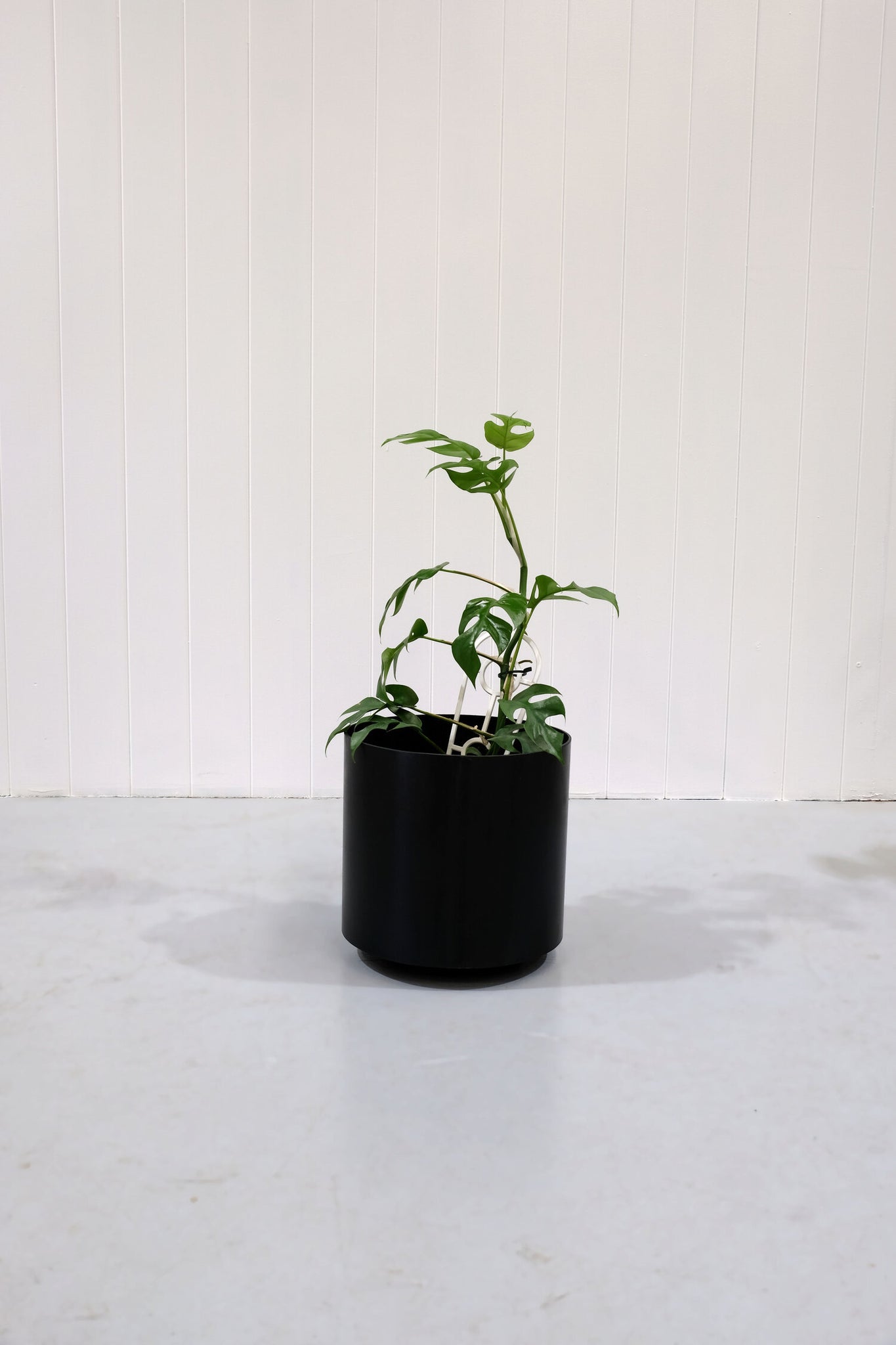 PROX-POTS | Blackened steel pots