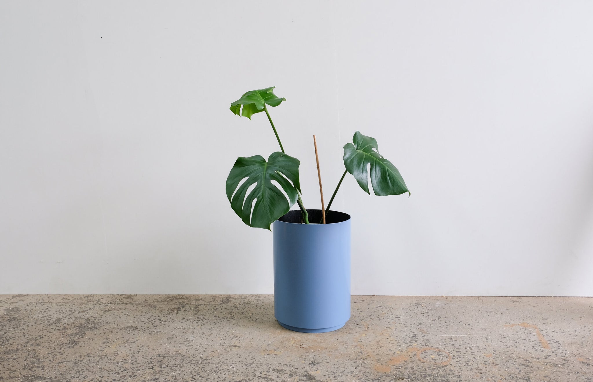 PROX-POTS | Coloured pots