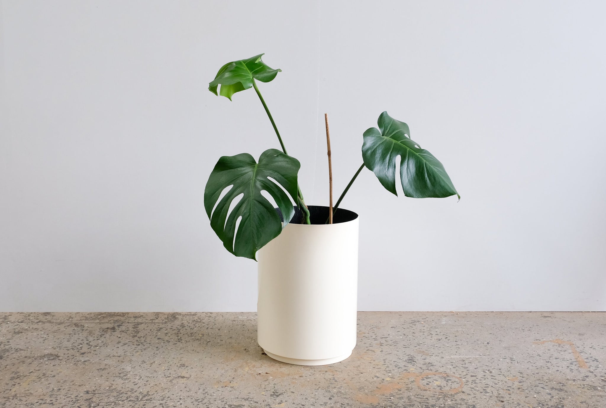 PROX-POTS | Coloured pots