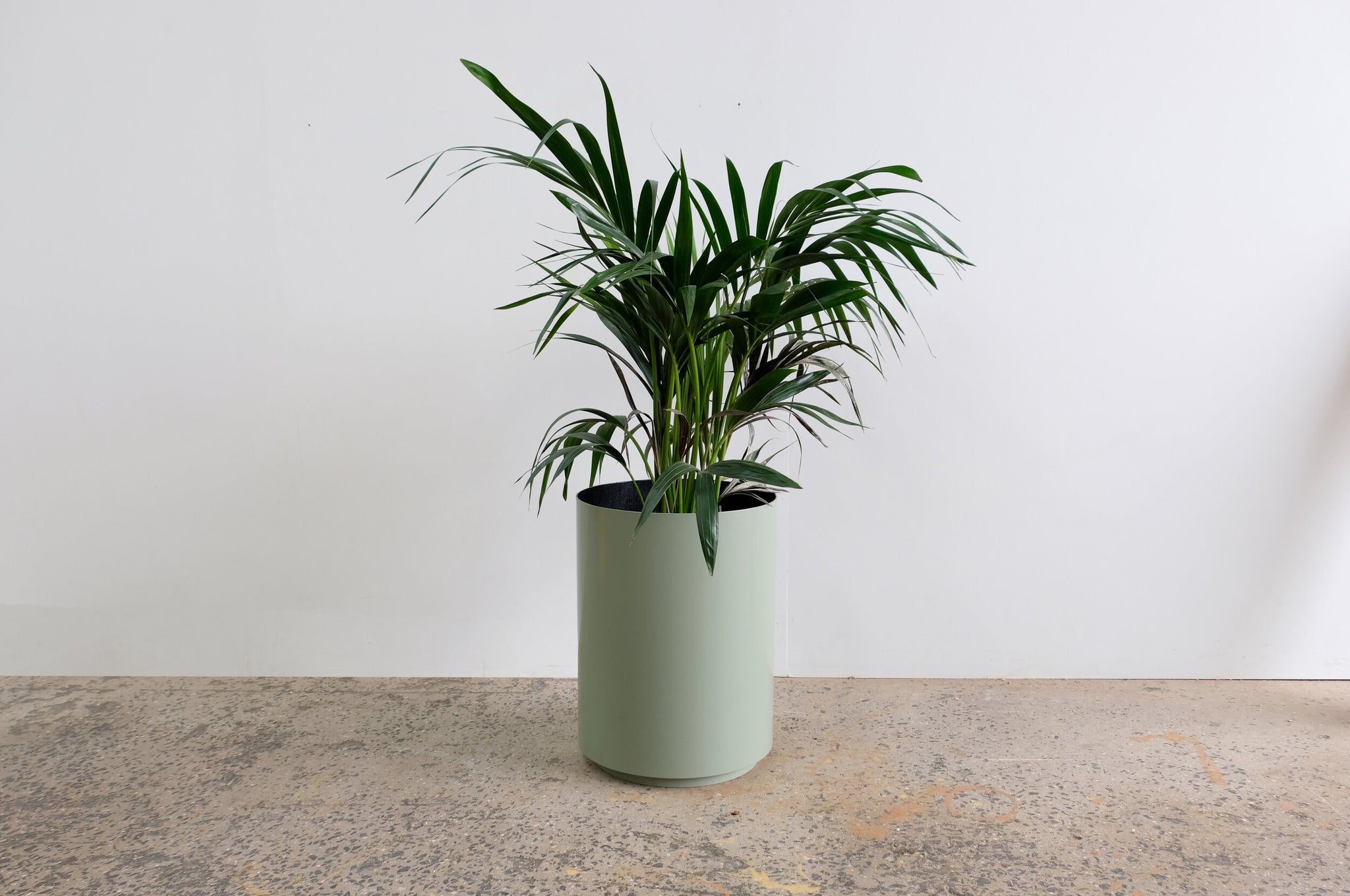 PROX-POTS | Coloured pots