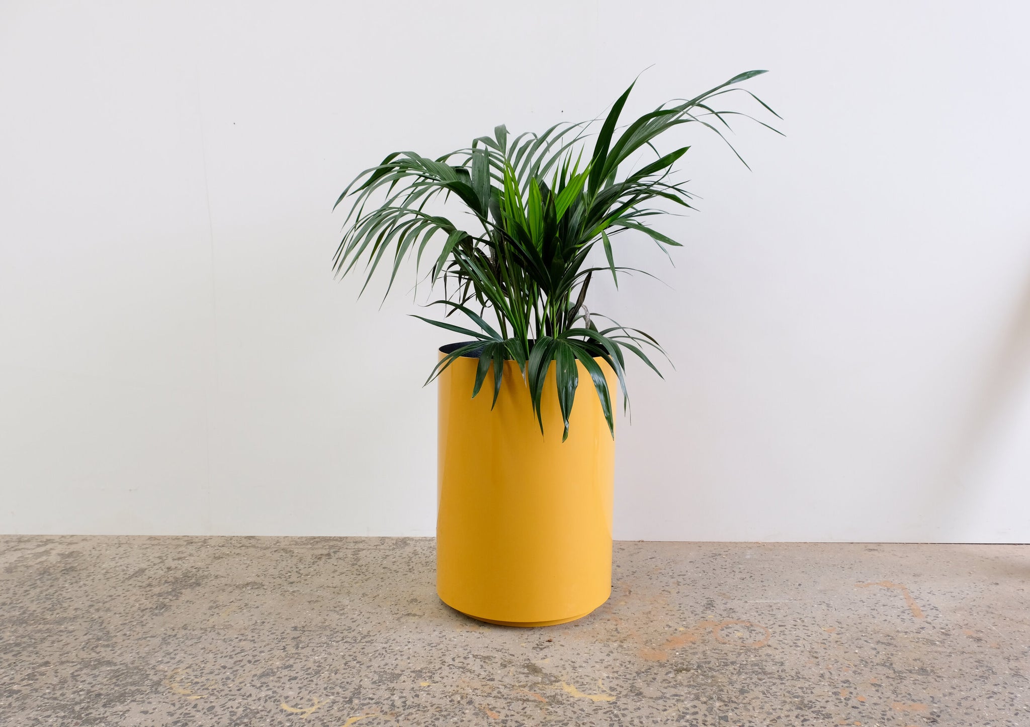 PROX-POTS | Coloured pots